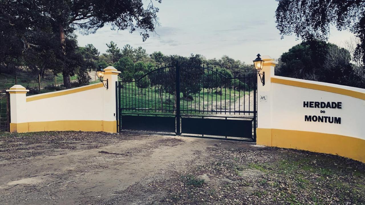 Affittacamere Montum Farm Living Melides Esterno foto