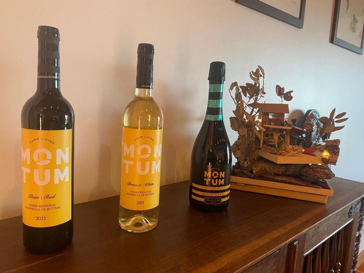 Affittacamere Montum Farm Living Melides Esterno foto