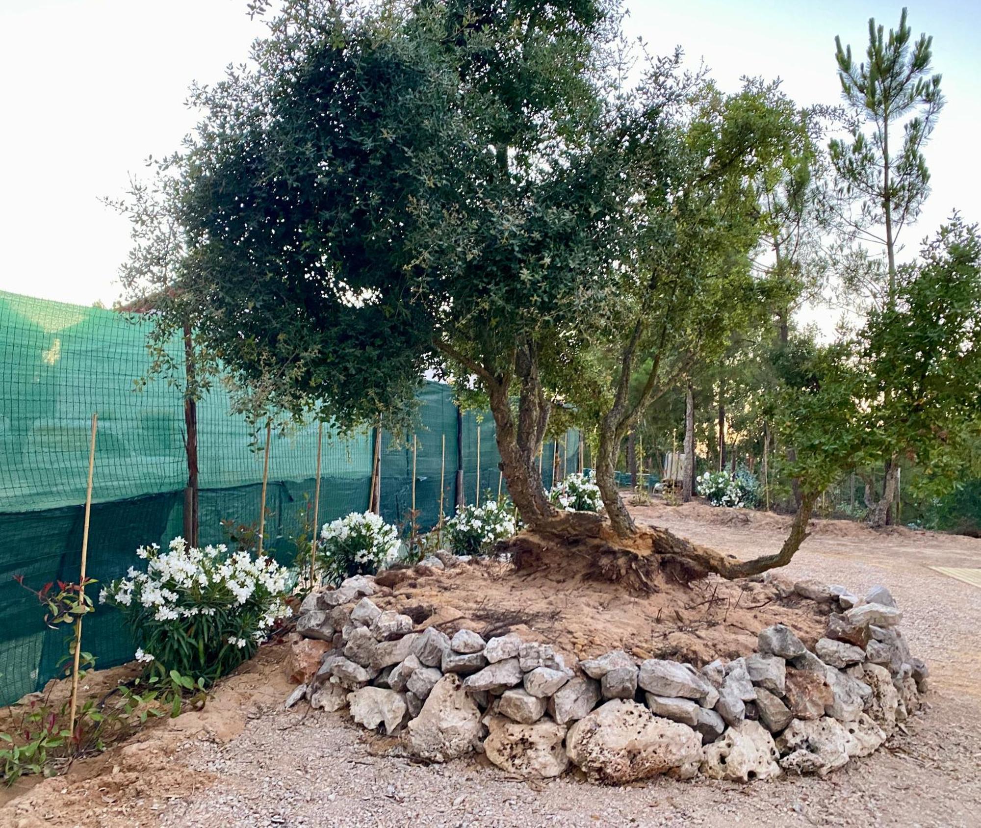 Affittacamere Montum Farm Living Melides Esterno foto