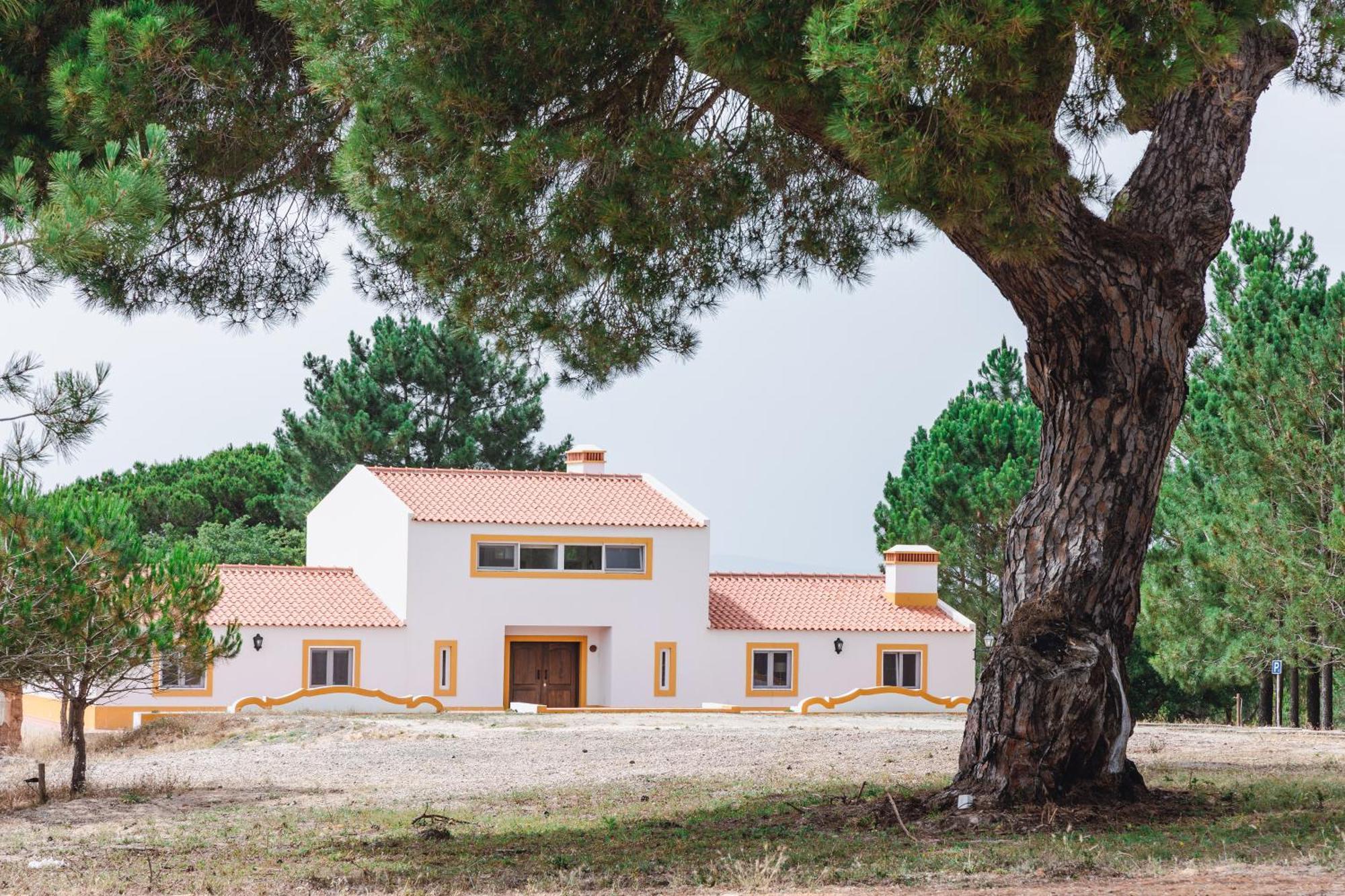 Affittacamere Montum Farm Living Melides Esterno foto