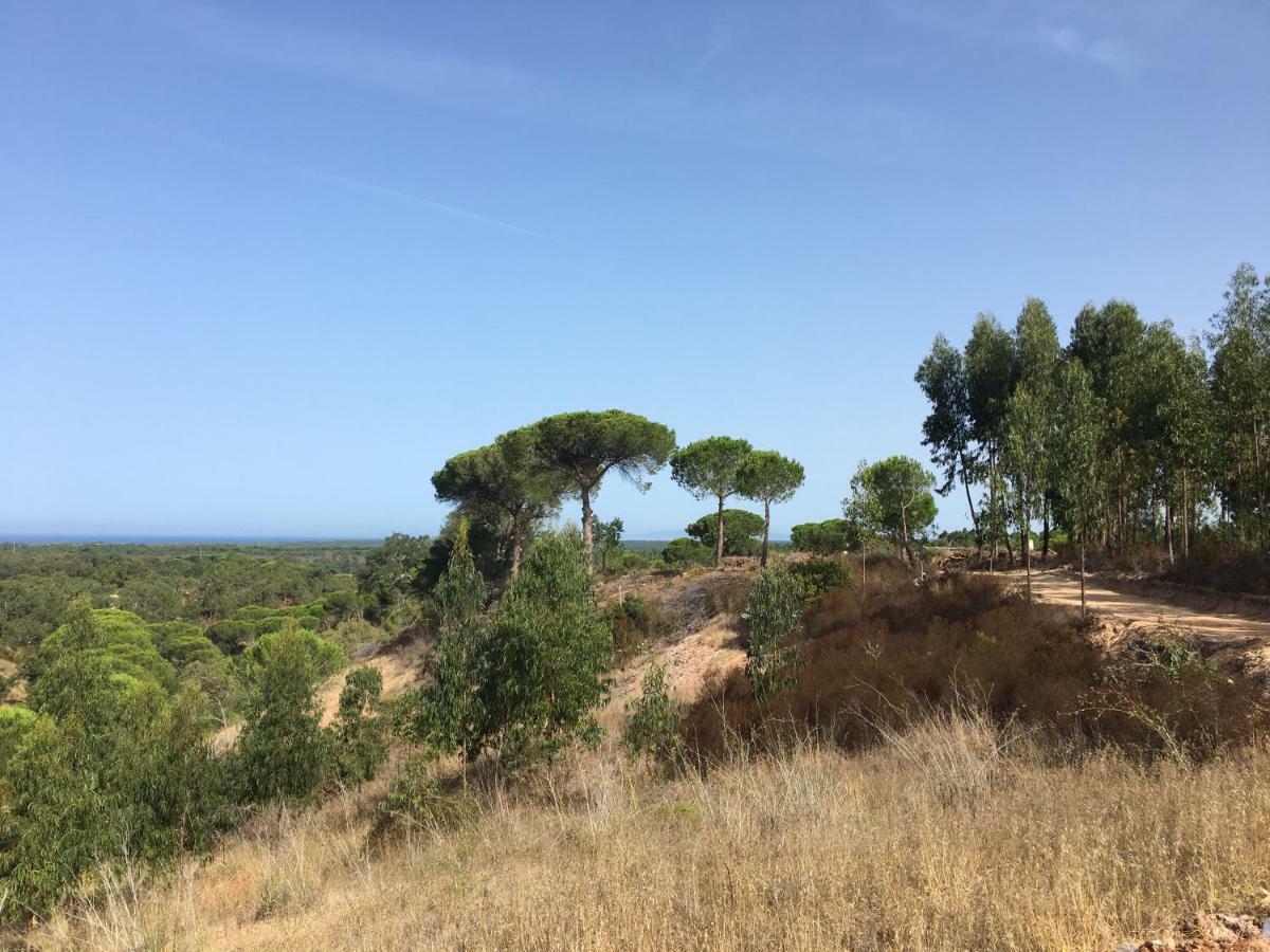 Affittacamere Montum Farm Living Melides Esterno foto
